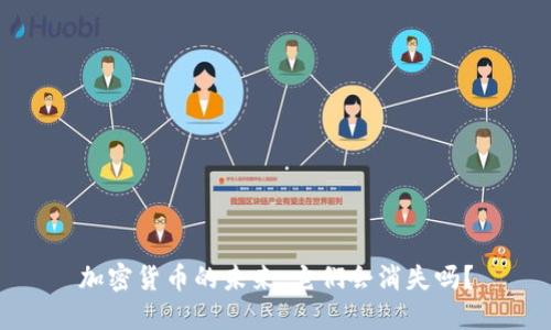 加密货币的未来：它们会消失吗？