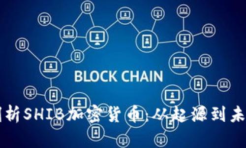 深入剖析SHIB加密货币：从起源到未来展望