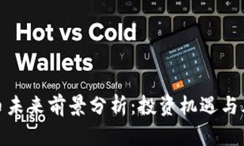 加密货币未来前景分析：投资机遇与风险评估