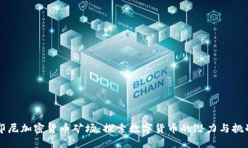 印尼加密货币矿场：探索数字货币的潜力与挑战