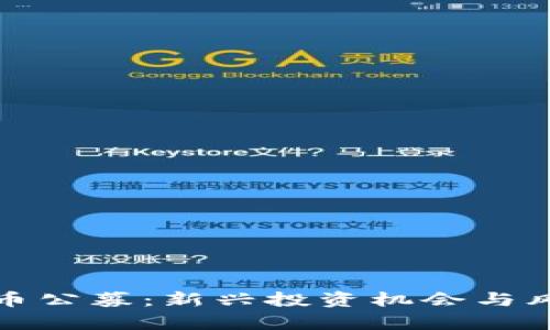 加密货币公募：新兴投资机会与风险分析
