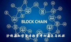 沙特在加密货币投资中的