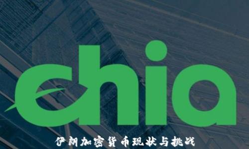 
伊朗加密货币现状与挑战