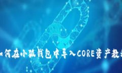 如何在小狐钱包中导入C