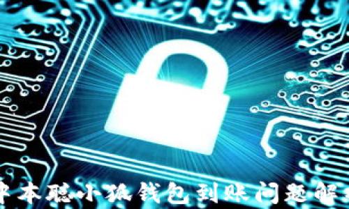 
中本聪小狐钱包到账问题解析