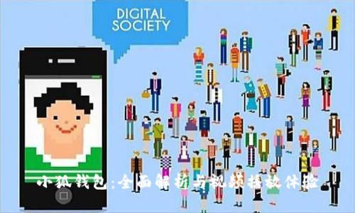 小狐钱包：全面解析与视频播放体验