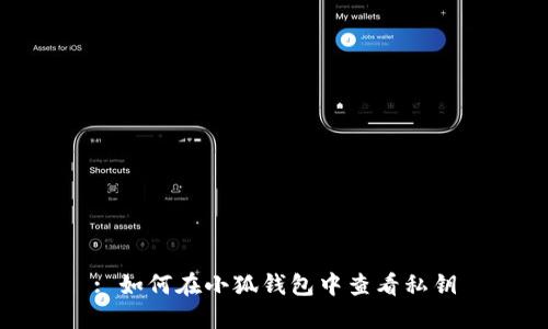 : 如何在小狐钱包中查看私钥