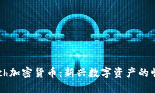 题目  Sfch加密货币：新兴数字资产的崛起与挑战