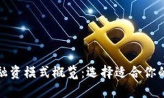 加密货币融资模式概览：