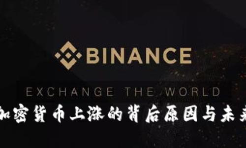 数字加密货币上涨的背后原因与未来展望