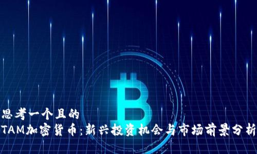 思考一个且的  
TAM加密货币：新兴投资机会与市场前景分析