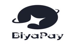 新加坡加密货币市场中的稳定币分析