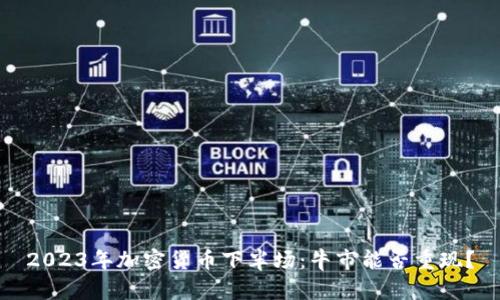 2023年加密货币下半场：牛市能否重现？