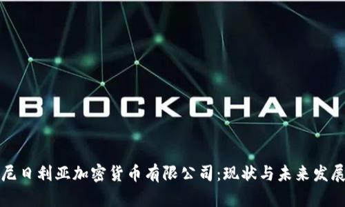 尼日利亚加密货币有限公司：现状与未来发展