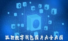 狐狸数字钱包图片大全大