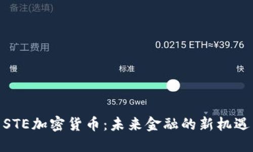 STE加密货币：未来金融的新机遇